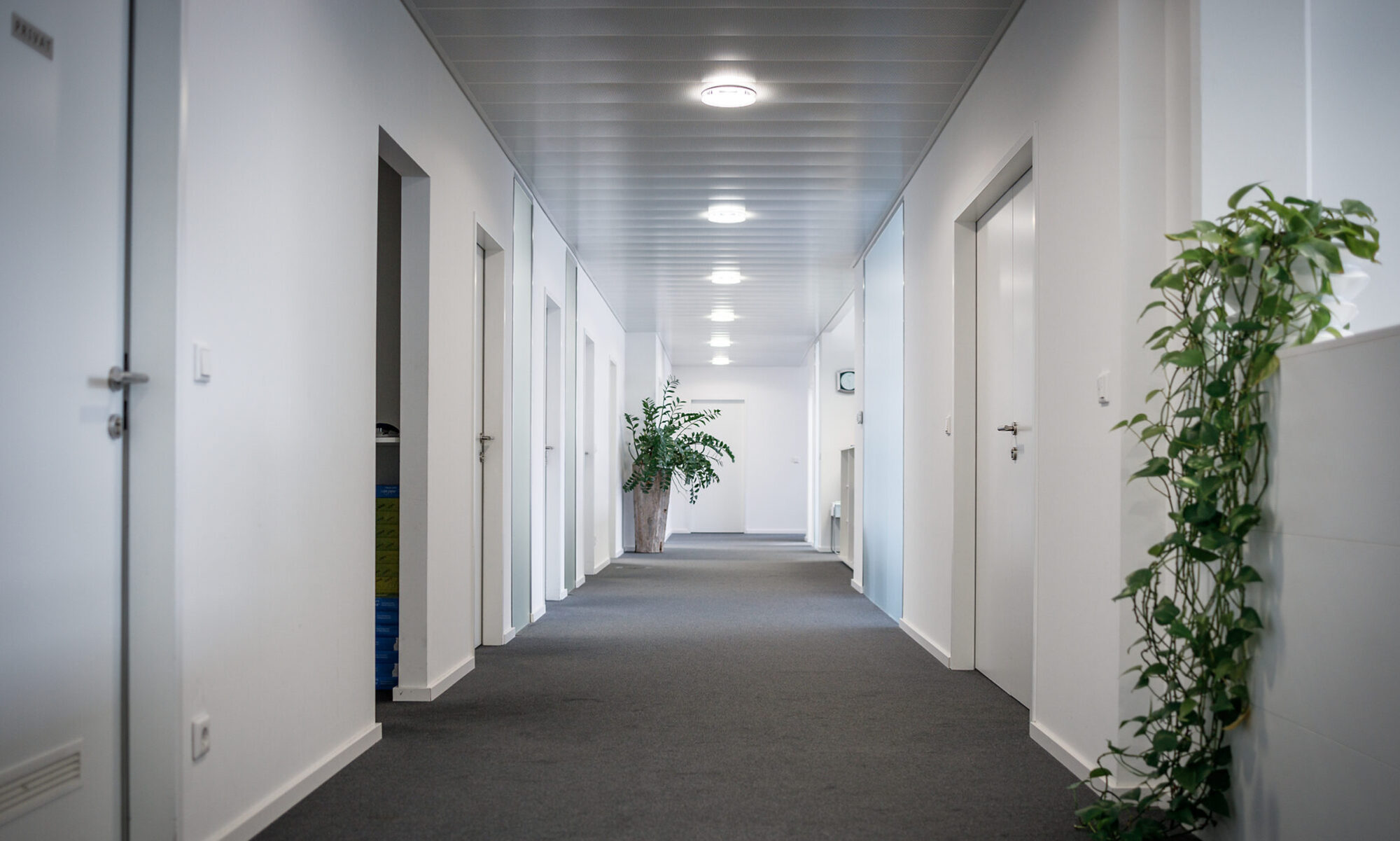 Büro Salzburg